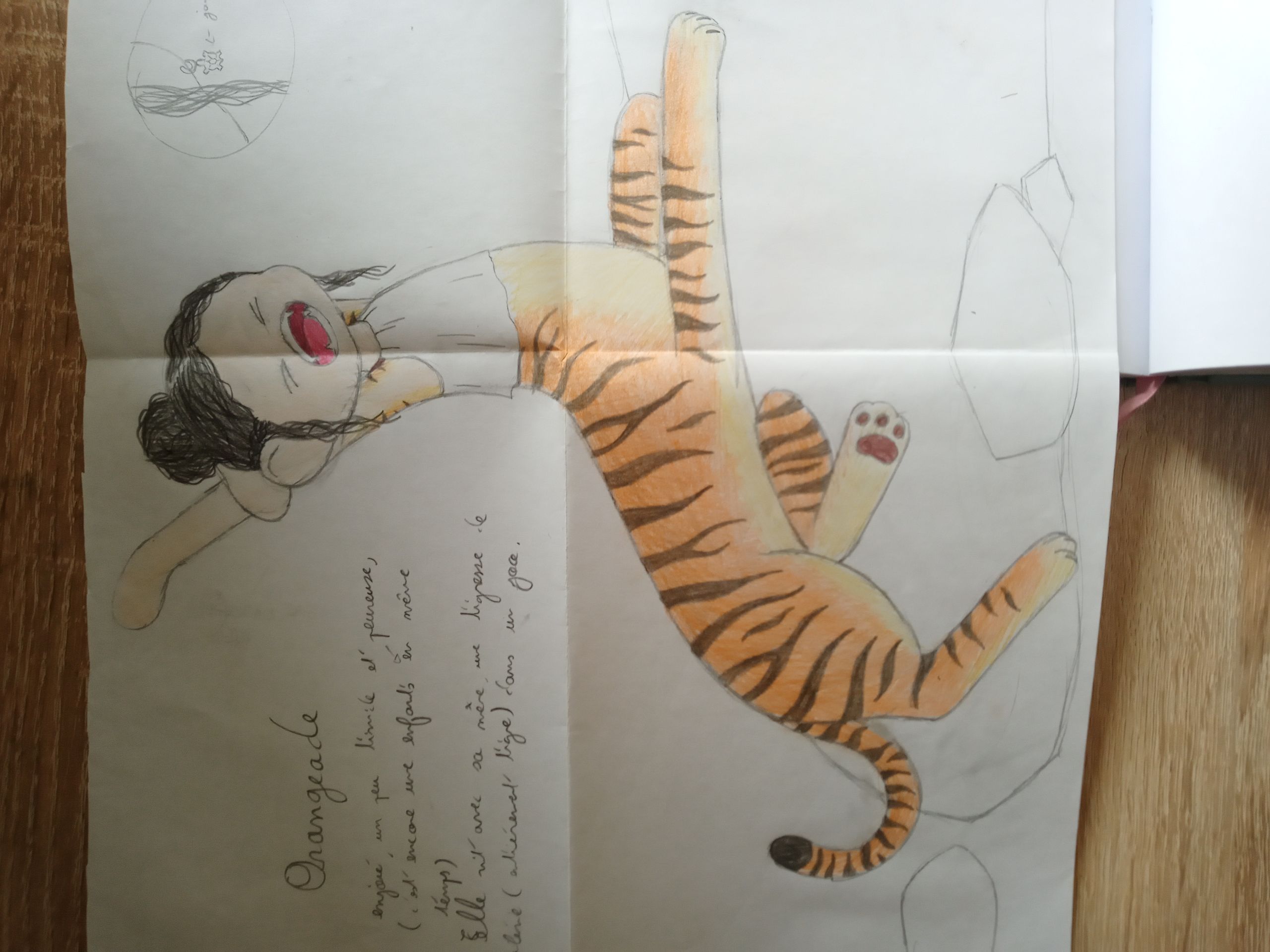 dessin d'Oreangeade