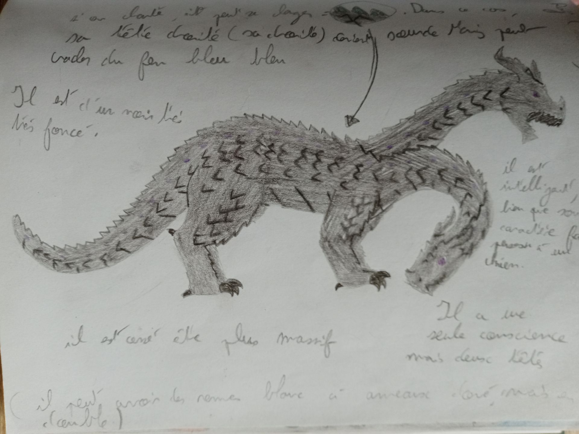 dessin de Raz